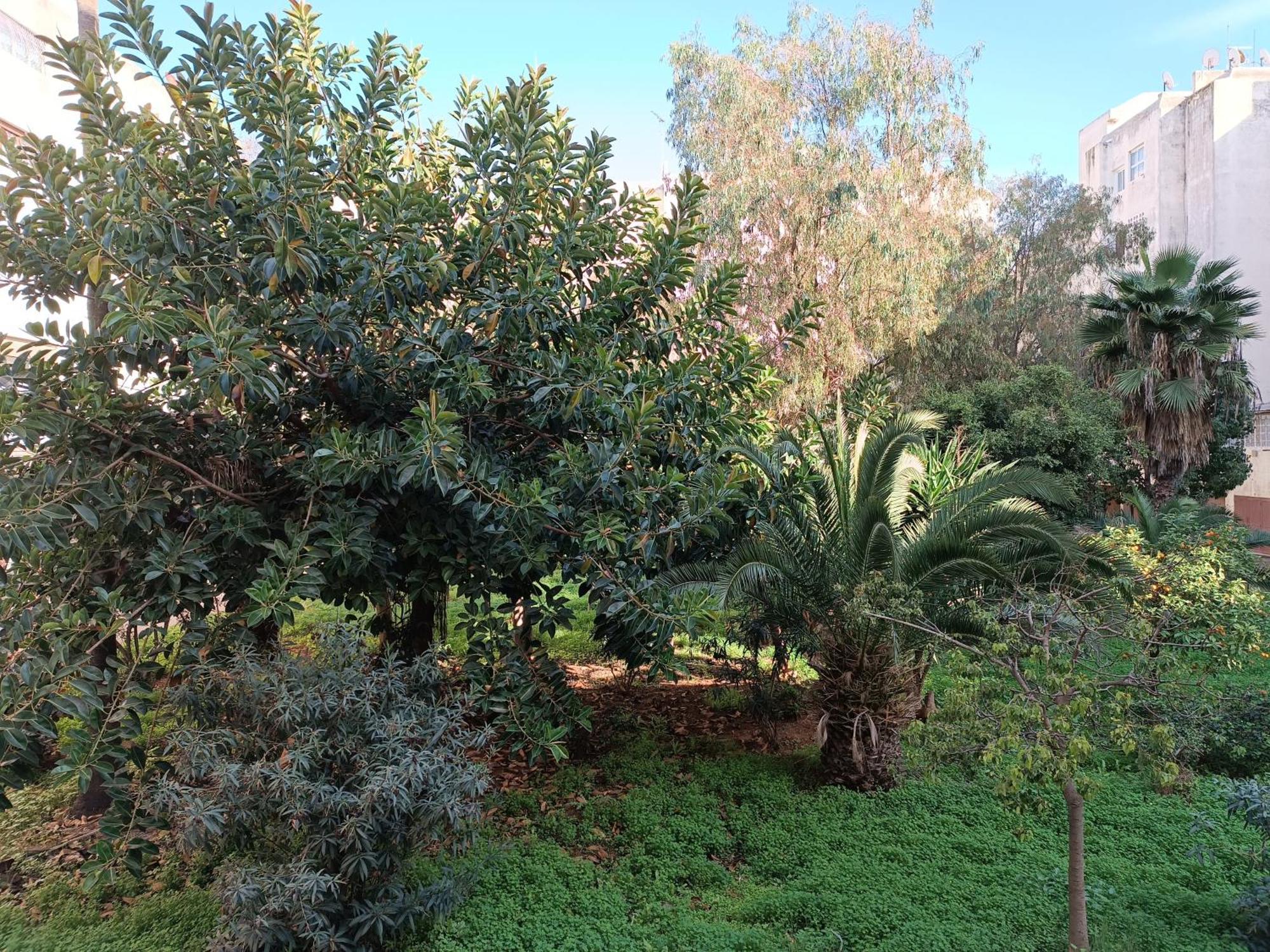 Apartment 3 Bedrooms Family Stay, Garden Space *